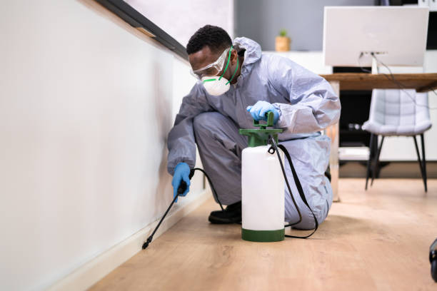 Emergency Pest Control Services in East Moriches, NY